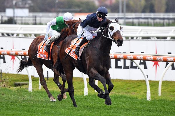 Tavidance stepping through grades