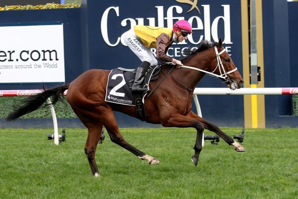 Tavirun primed ahead of Saturday