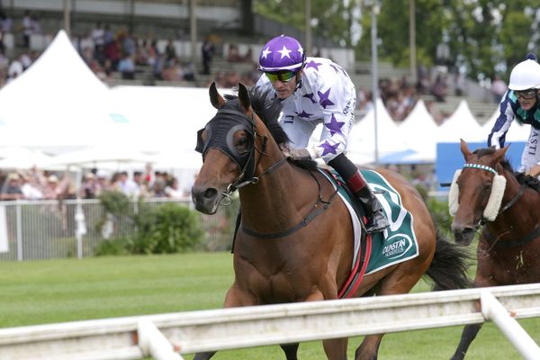 First runners back for Ritchie stable