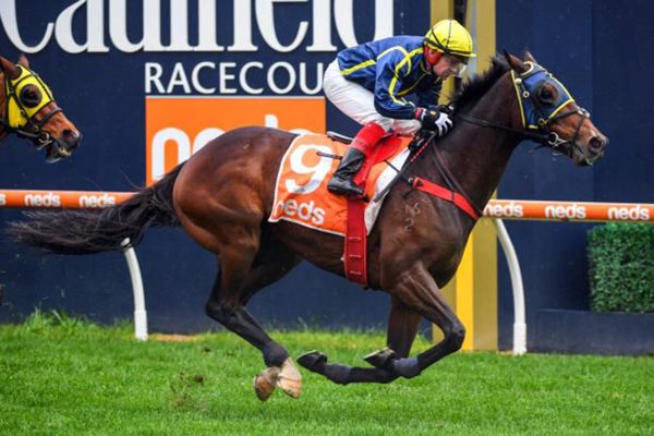 Groundhog day for Travimyfriend