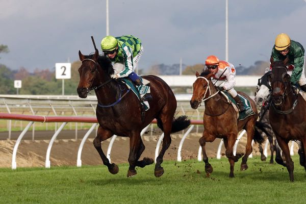 Cole seeking more glory at Te Rapa