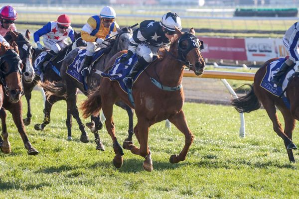 Red letter day for boutique stable