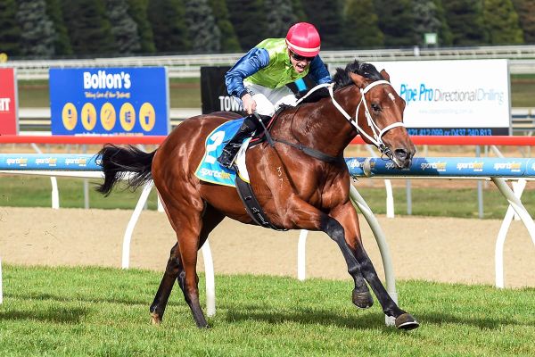 Derby hope to kick off three-year-old campaign
