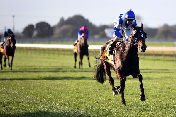 Sharrock and Schofer dominate at Hawera