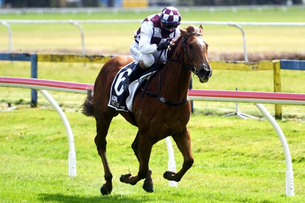 Class prevails at Rotorua