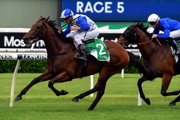 The Bostonian gets ideal draw