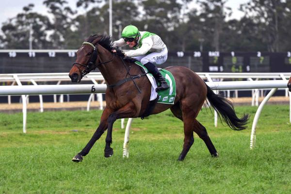 Australia no bother for Kiwi mare