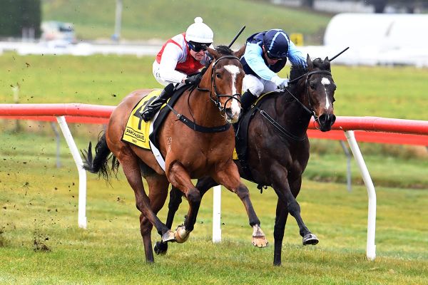 Breakthrough win for Harvey at Taupo