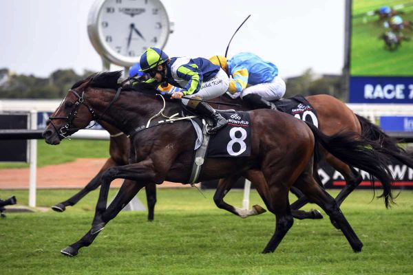 Winx a moment of truth for Brandenburg