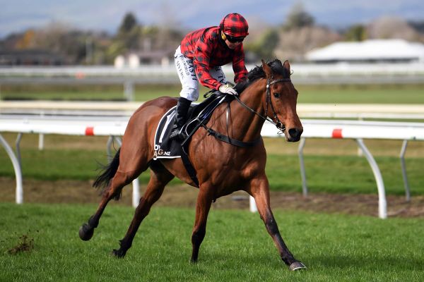 Captaintwinkletoes dances to maiden victory