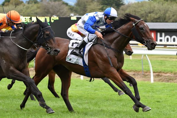 Wexford team building with Sydney ambitions