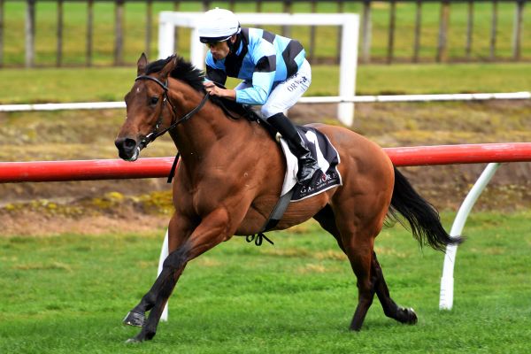 Pike and Ormsby combination back in winning groove