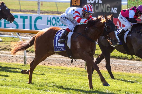 Tyler has big plans for promising stayer