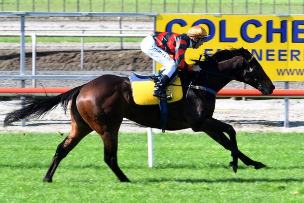 Dragon Leap bounces through fresh-up assignment