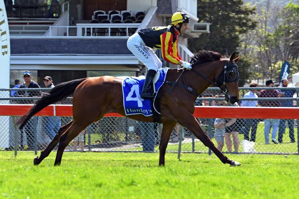 Mare set to bloom in Winter Classic