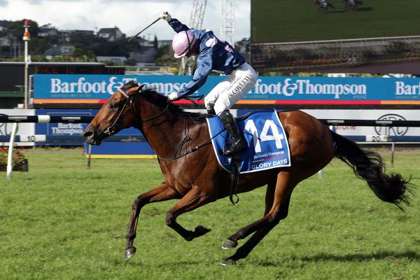 Interest grows in Caulfield and Melbourne Cups