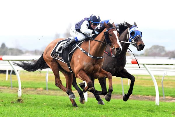 Happy Star primed for Winter Cup