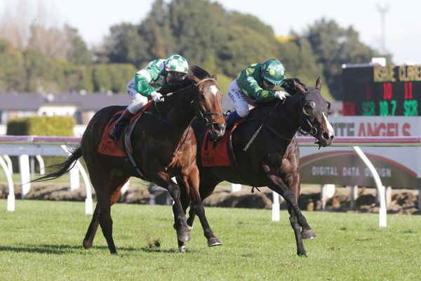 Winning double for Bishara