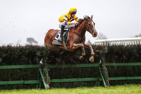 Wilson targets Te Rapa jumps features