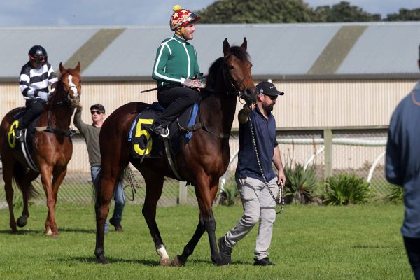 Oaks winner pleases in Ruakaka