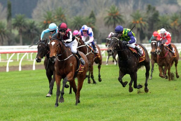 Pleasant surprise for Greene at Te Aroha