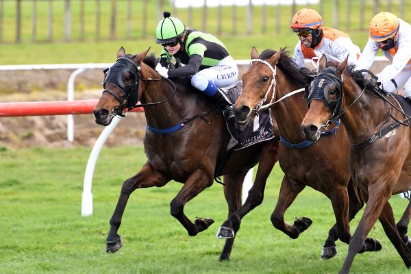 Jericho Cup aspirations for Junior
