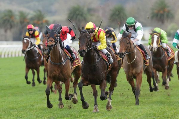 Justastate in the frame for Norvall