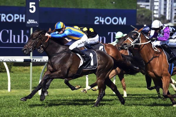 Kiss The Bride returns a winner for Josh Parr