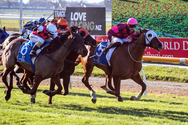 Major Tom takes out Riccarton feature