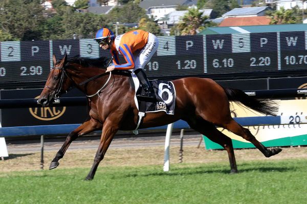 Melody Belle improved ahead of Winx Stakes