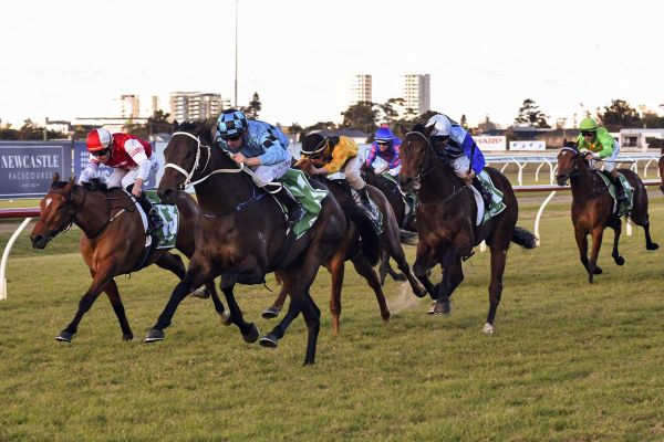 Mo'unga rockets to Spring Champion favouritism