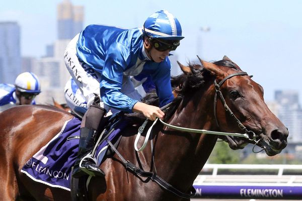 Oceanex commences Cup path at Caulfield
