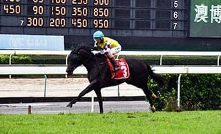 Sacred Capital Defends Macau Gold Cup Crown