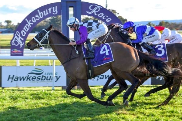 Savacool Stakes Winner 100 for Savabeel