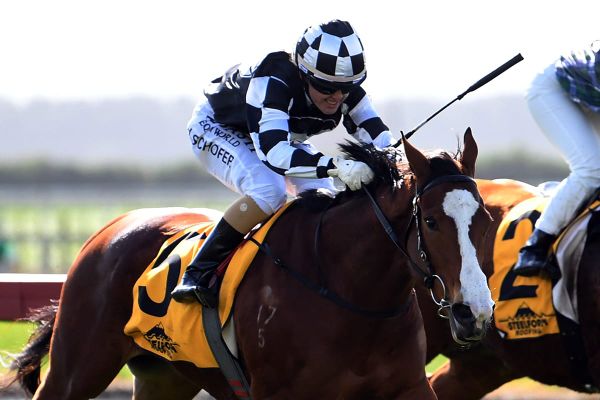 Schofer still coming to terms with amazing feat