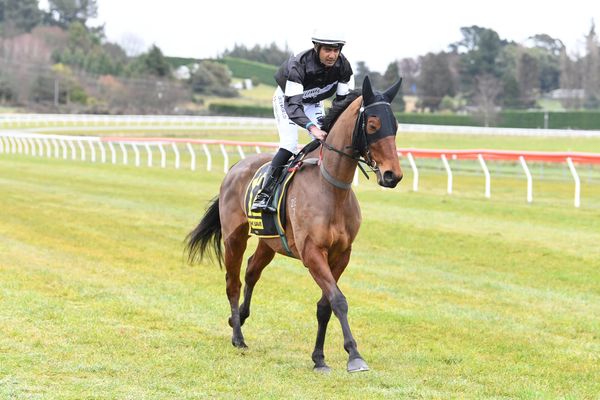 Jakkal ready to pounce at Tauranga