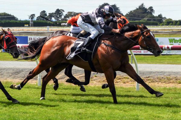 Vaughan duo kick-off spring preparations