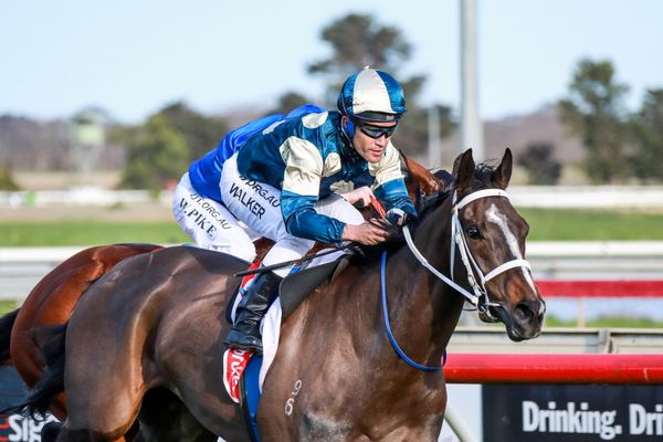 Sierra Sue scores first-up