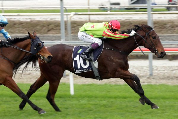 Tammie Wynette fulfils perfect script for Coxon