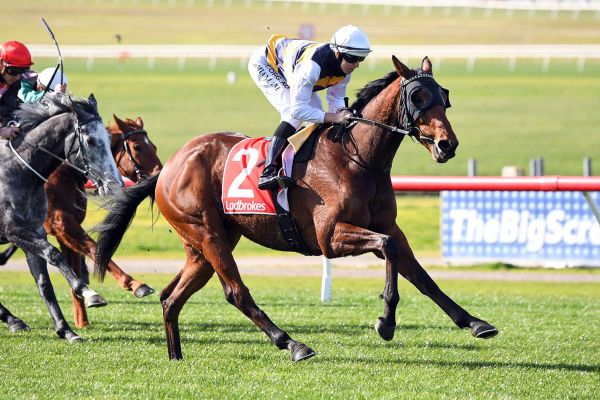 Tigre Royale makes it four in a row