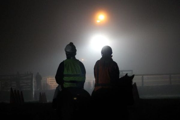 COVID-19 Confirmed Case Update