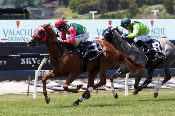 Hastings targets for Kingsclere duo