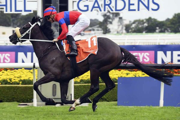 Cups weights released