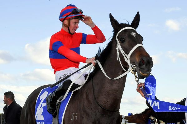 Bishara still pinching himself after Verry Elleegant victory