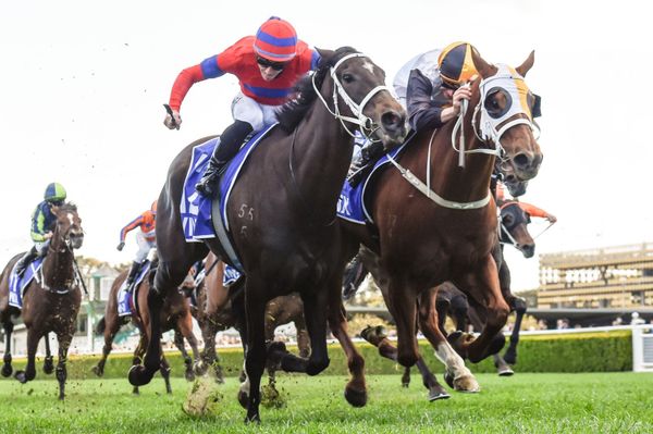 Verry good mare outclasses rich Group One field