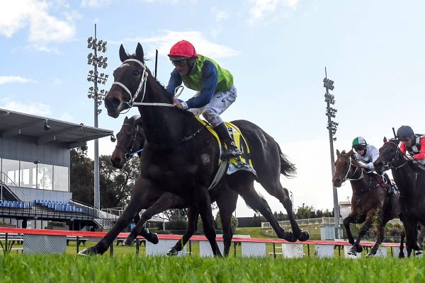Busuttin's Derby contenders go on trial