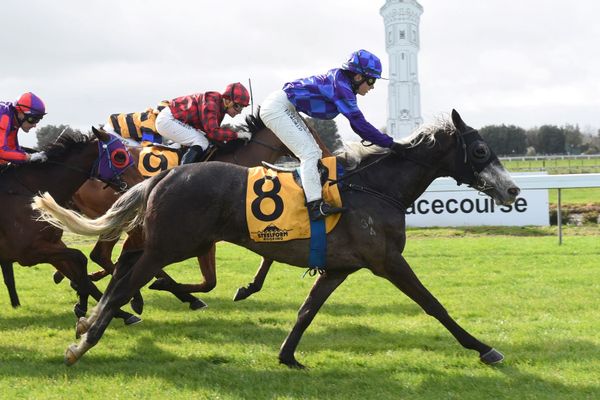 Captaintwinkletoes impresses on debut