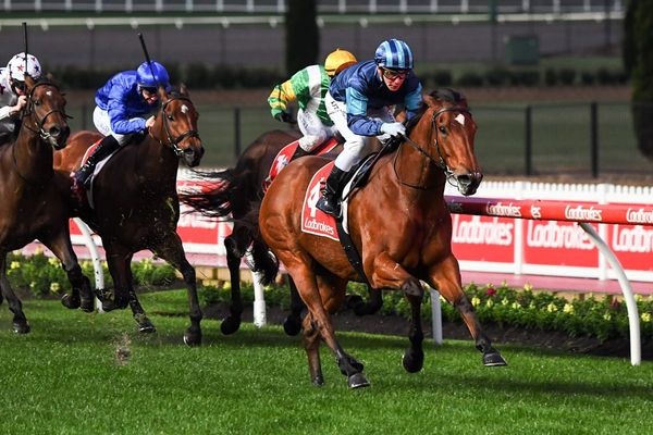 Alfa Oro returns a winner