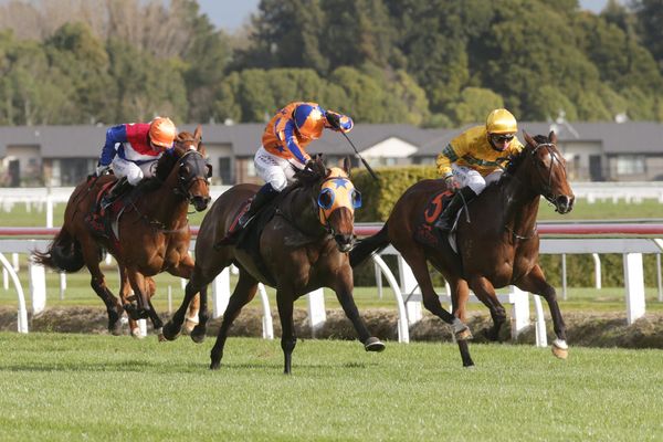 Tavi Mac primed for Tarzino tilt