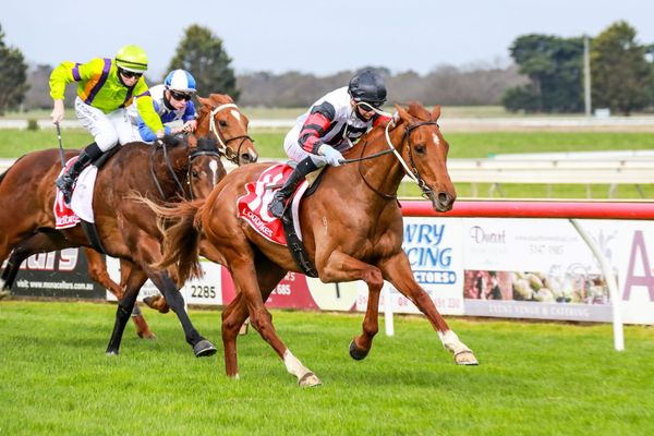 Trials and preludes await Kiwis
